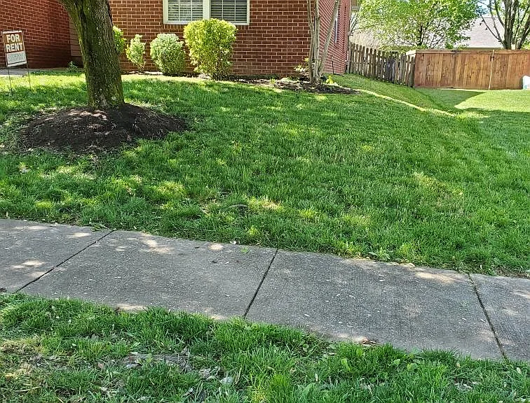 1193 Lacy Ln — Photo 17