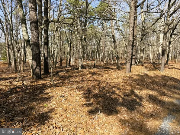 3 Pinewood Dr, Little Egg Harbor, NJ 08087