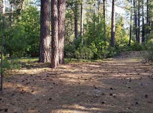 25301 Little John Ln, Pioneer, CA 95666