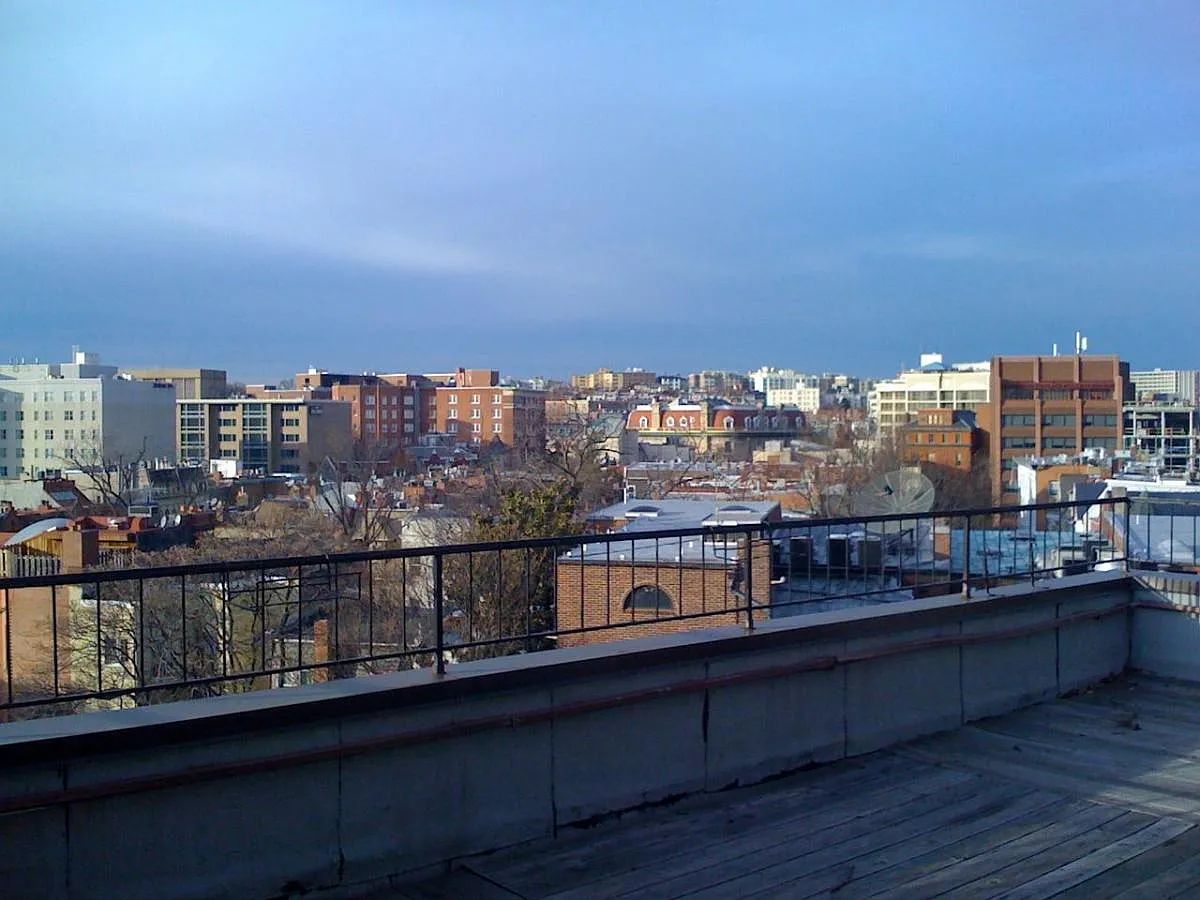 1 bed, 980 sqft, $3,300 — Photo 3