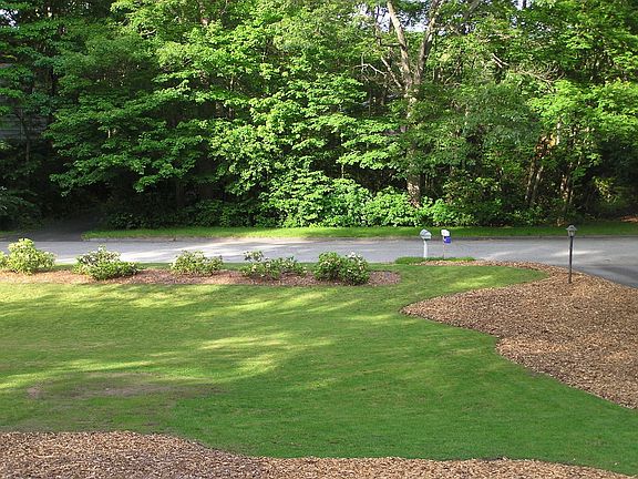 Moving left yard view