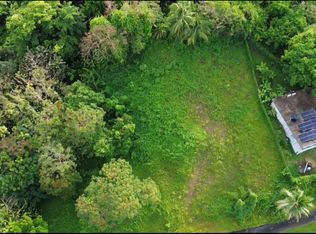 Bo Guzman Abajo Carr 186 Km LOT 2-24.6, Rio Grande, PR 00745