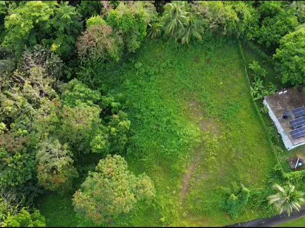 Bo Guzman Abajo Carr 186 Km Lot 2-24.6, Rio Grande, PR 00745