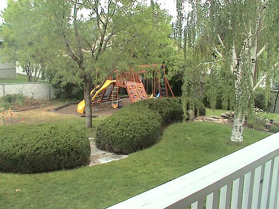 Huge Backyard with lots of trees