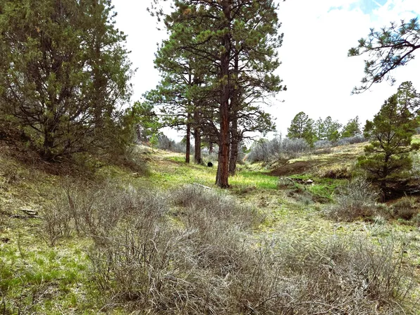 3 N Avalon Dr Lot 3, Norwood, CO 81423