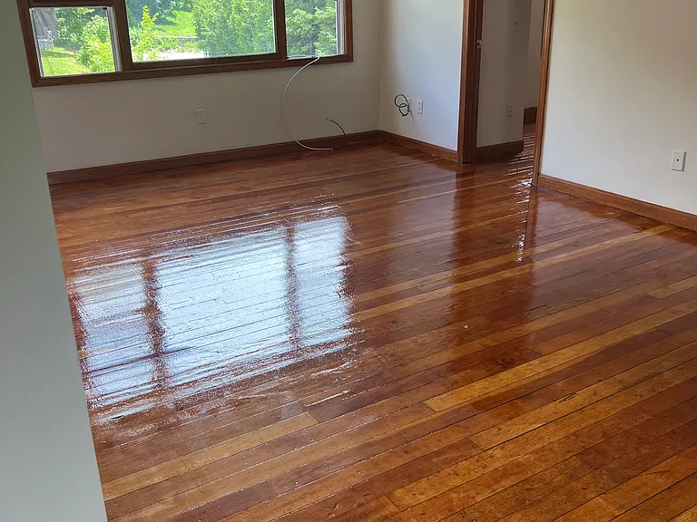 21 Clarke St #B — Photo 21