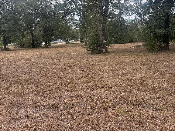 4th image of Port Of 1251 Deer Point Rd