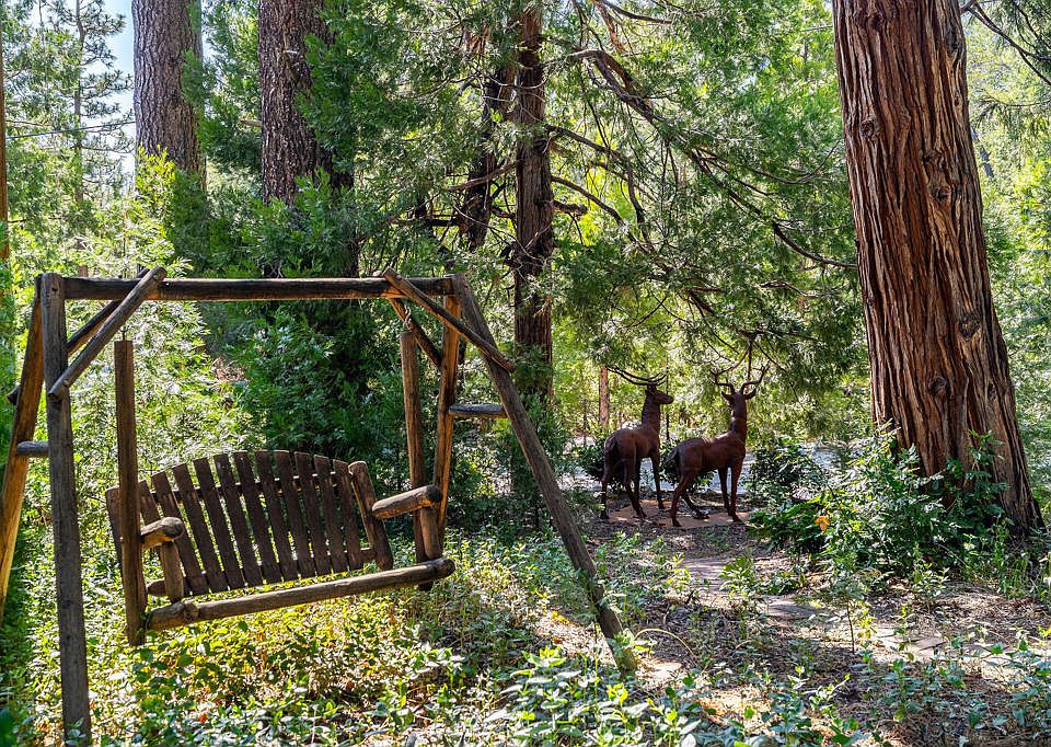 13th image of this home