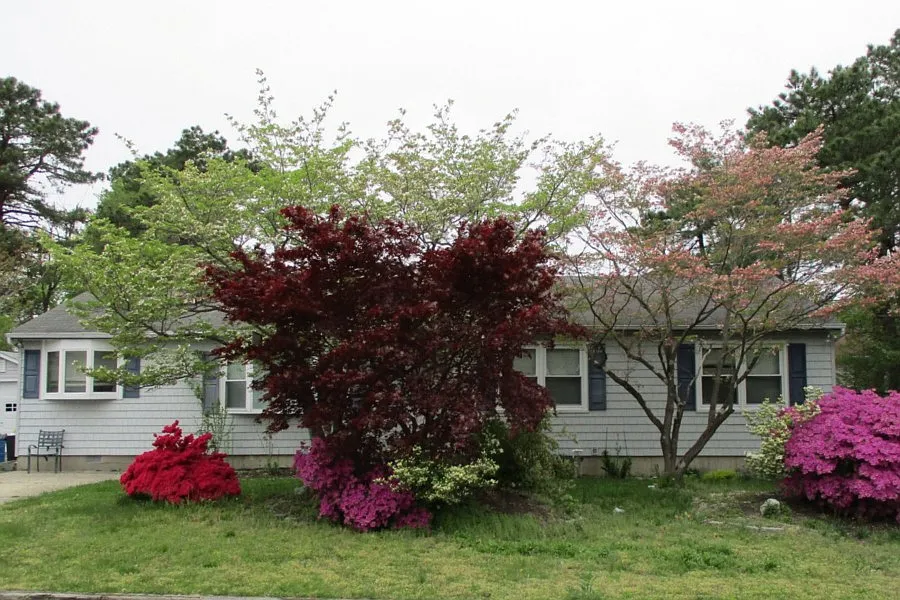 909 Birmingham Ave photo 1