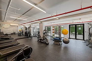 Rented by REAL New York