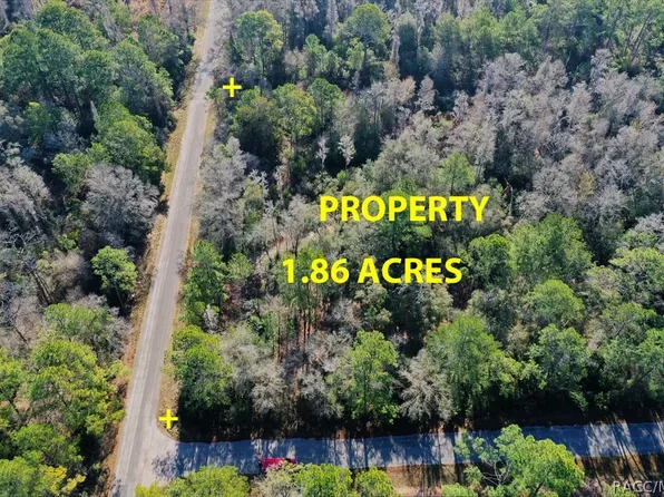 9485 N Beechtree Way, Crystal River, FL 34428