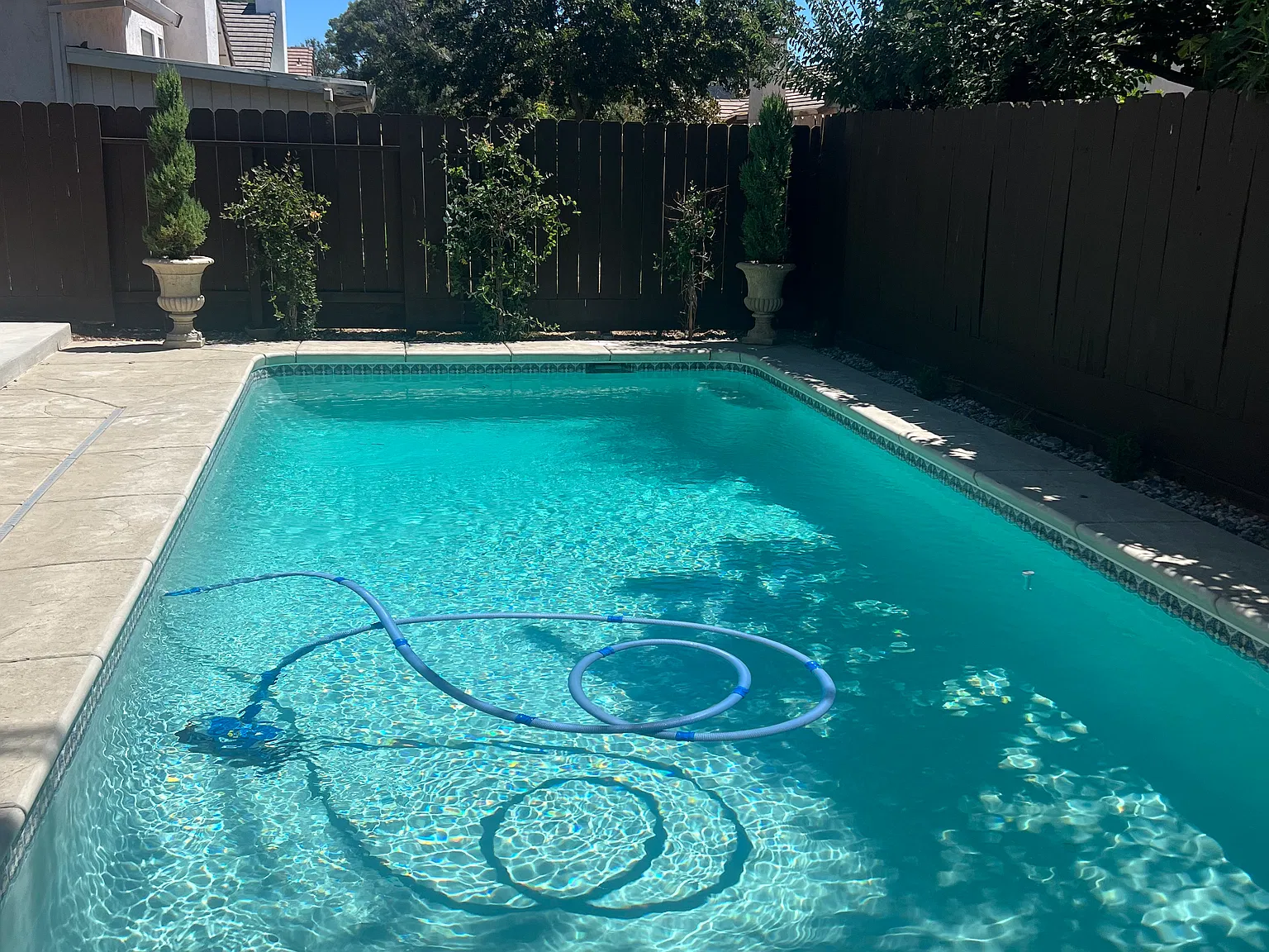 4 bed, 1900 sqft, $2,900 — Photo 3