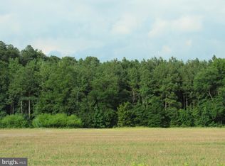 Old Stage Rd, Laurel, DE 19956