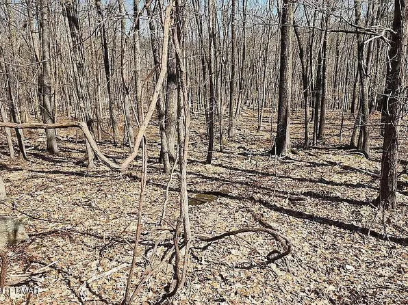 Eagle Ave #711, Swiftwater, PA 18370