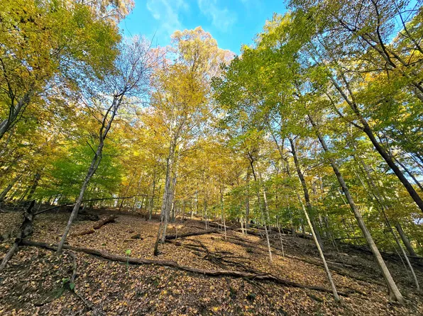 1767 Mohican Ln, Sugar Grove, OH 43155