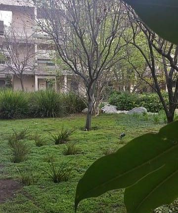3rd image of 4141 Via Marisol APT 210