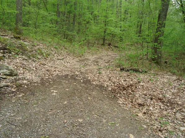 Lot 23 Sourwood Court, Sapphire, NC 28774