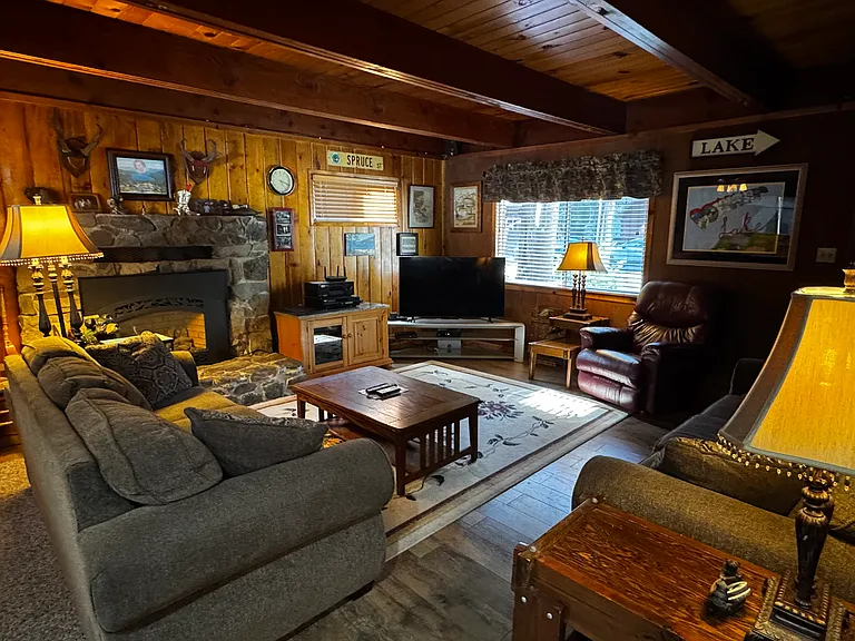 Living room with remote control gas fireplace