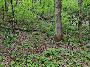 0 Childers Creek Rd, Reliance, TN 37369