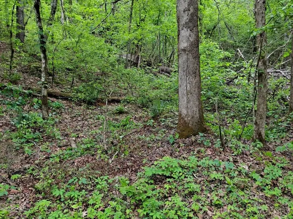 0 Childers Creek Rd, Reliance, TN 37369