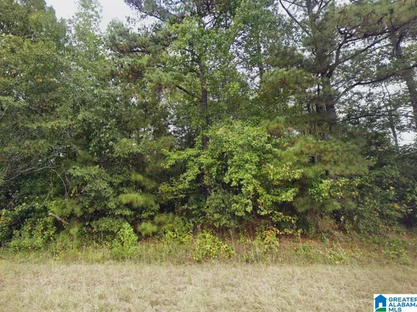 County Road 97, Clanton, AL 35046