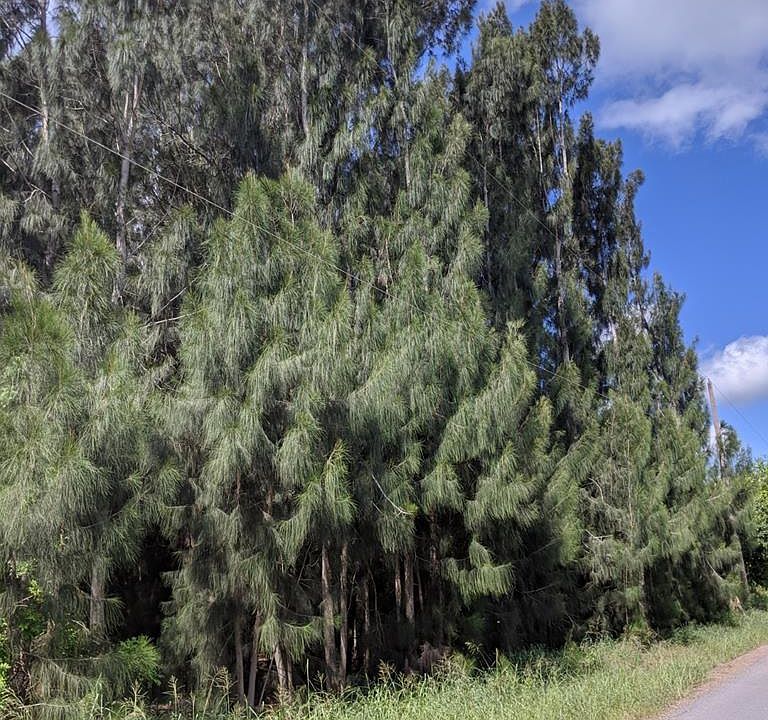 1st image of 0 Stanford Rd