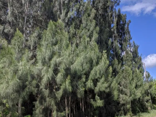 0 Stanford Rd, Los Fresnos, TX 78566