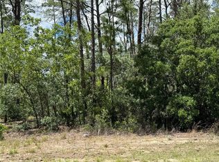 8959 N Farrington Dr LOT 6, Dunnellon, FL 34433