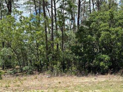 8959 N Farrington Dr LOT 6, Dunnellon, FL, 34433