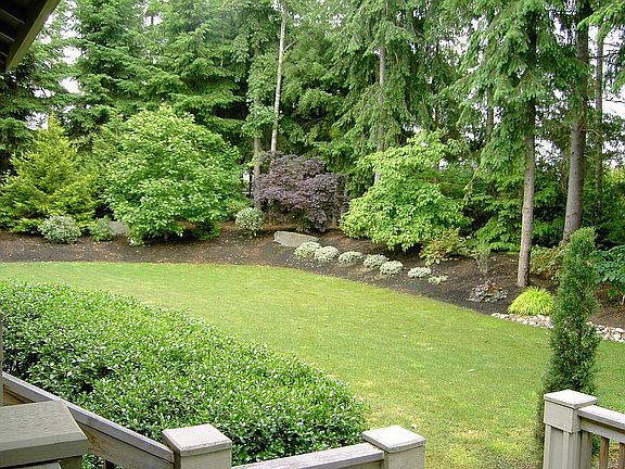Backyard from deck 