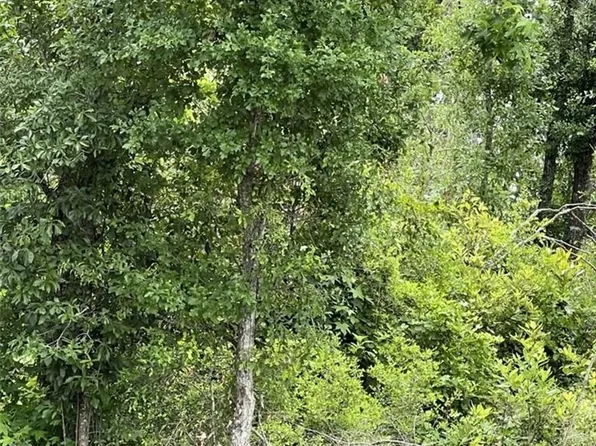 White Oak St, Vinton, LA 70668