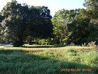 1st image of 3917 McCartney Ln