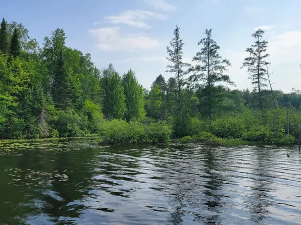 19308 Mamie Lake Rd, Watersmeet, MI 49969