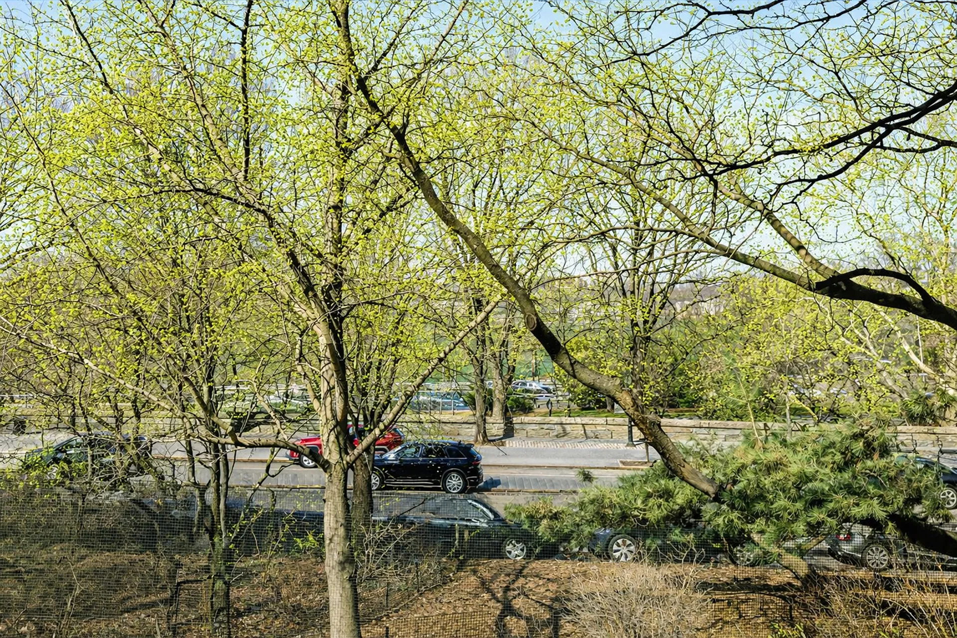 222 Riverside Drive #2B in Upper West Side, Manhattan | StreetEasy