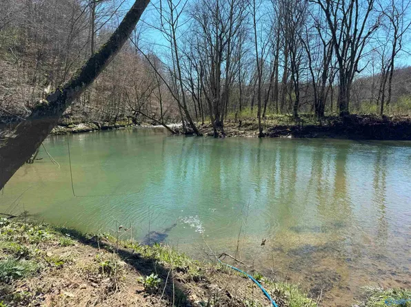 21719 State Highway 65, Estillfork, AL 35745