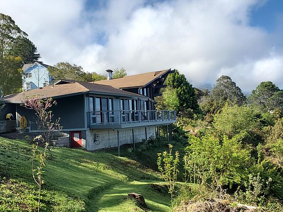 Sloped lot with orchard
