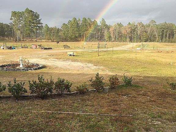 Gods promise, front pasture