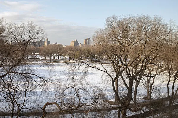 Sold by Stribling | media 18