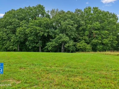 29 Nightfall Ln, White Pine, TN, 37890