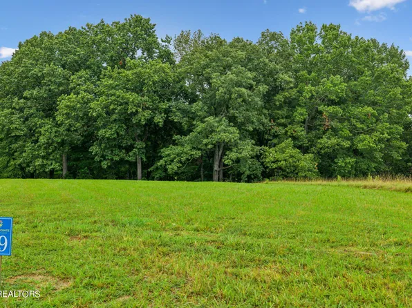 29 Nightfall Ln, White Pine, TN 37890