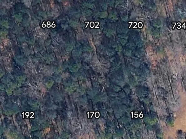 702 N Holcomb Dr, Martin, GA 30557