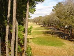View from Side Window