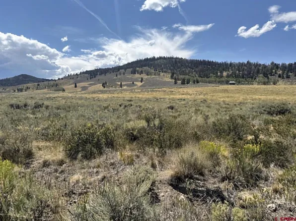 100 Monarch Road, Powderhorn, CO 81243