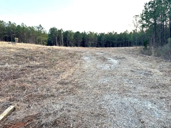 1522 Naftel Rd, Grady, AL 36036