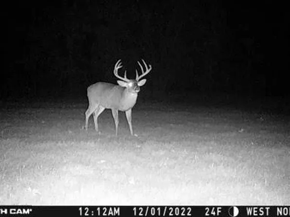 760 Old Highway Rd, Crenshaw, MS 38621