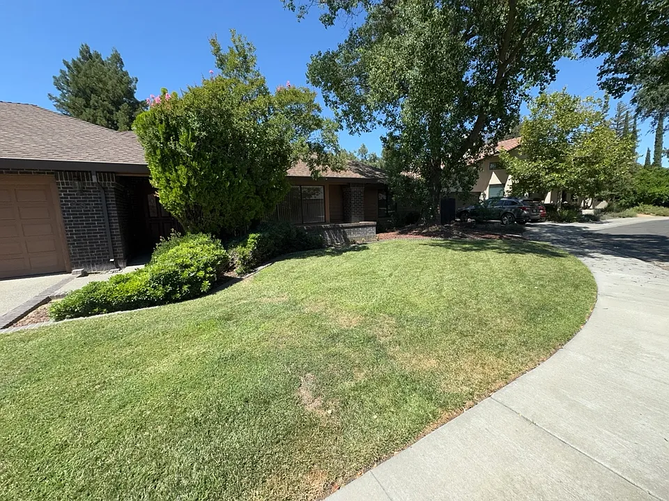 507 Bluebird Pl