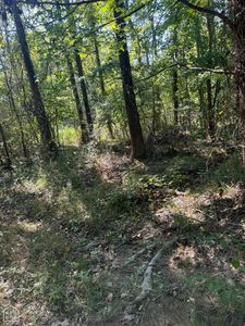 0 County Road 796 #0, Jonesboro, AR, 72405