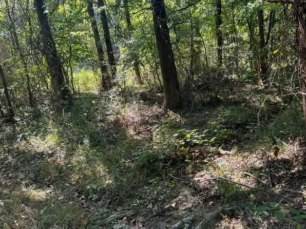 0 County Road 796 #0, Jonesboro, AR 72405