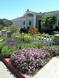 Front Garden