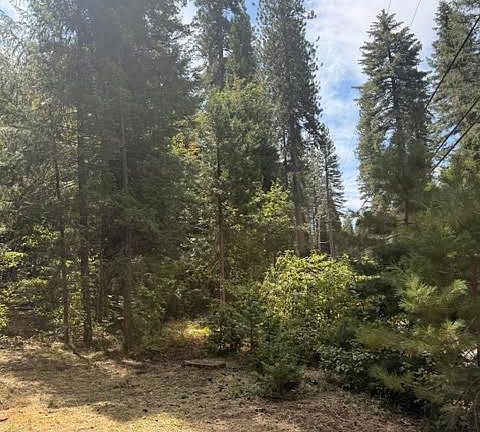 3rd image of 684 Alta Powerhouse Rd